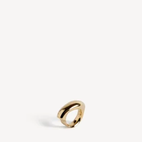 Eisa-ring i skinnende gull Eisa-ring i skinnende gull