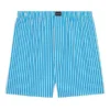FW21 Striped Shorts «Blue» 6583964A8B74900