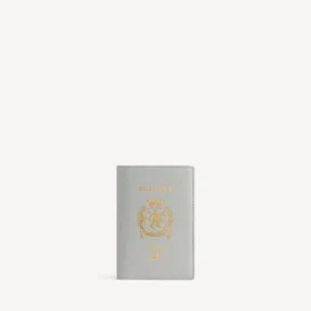 Passholder for menn i Balenciaga-grå