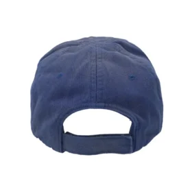 Political Campaign-cap «Blue» 661884310B24277